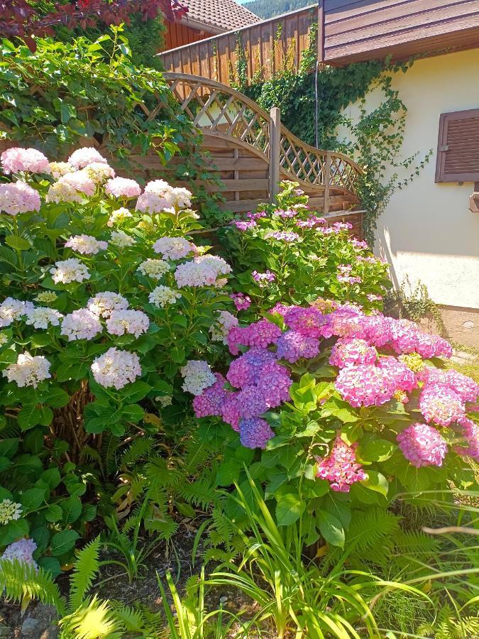 Haus Flora - Ferienwohnung Bodensdorf Exterior foto